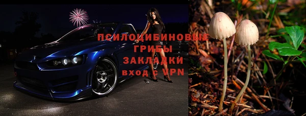 ПСИЛОЦИБИНОВЫЕ ГРИБЫ Балабаново