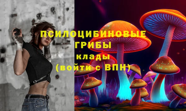 ПСИЛОЦИБИНОВЫЕ ГРИБЫ Балабаново