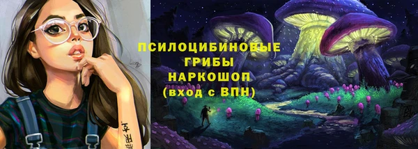 индика Баксан