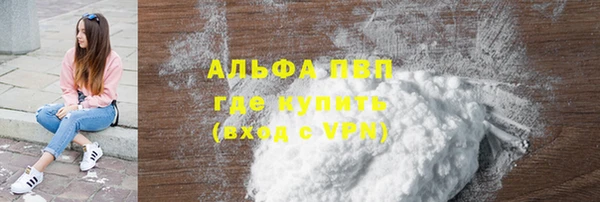 индика Баксан