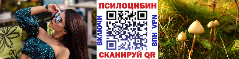 как найти наркотики  Армавир  Галлюциногенные грибы Psilocybe 